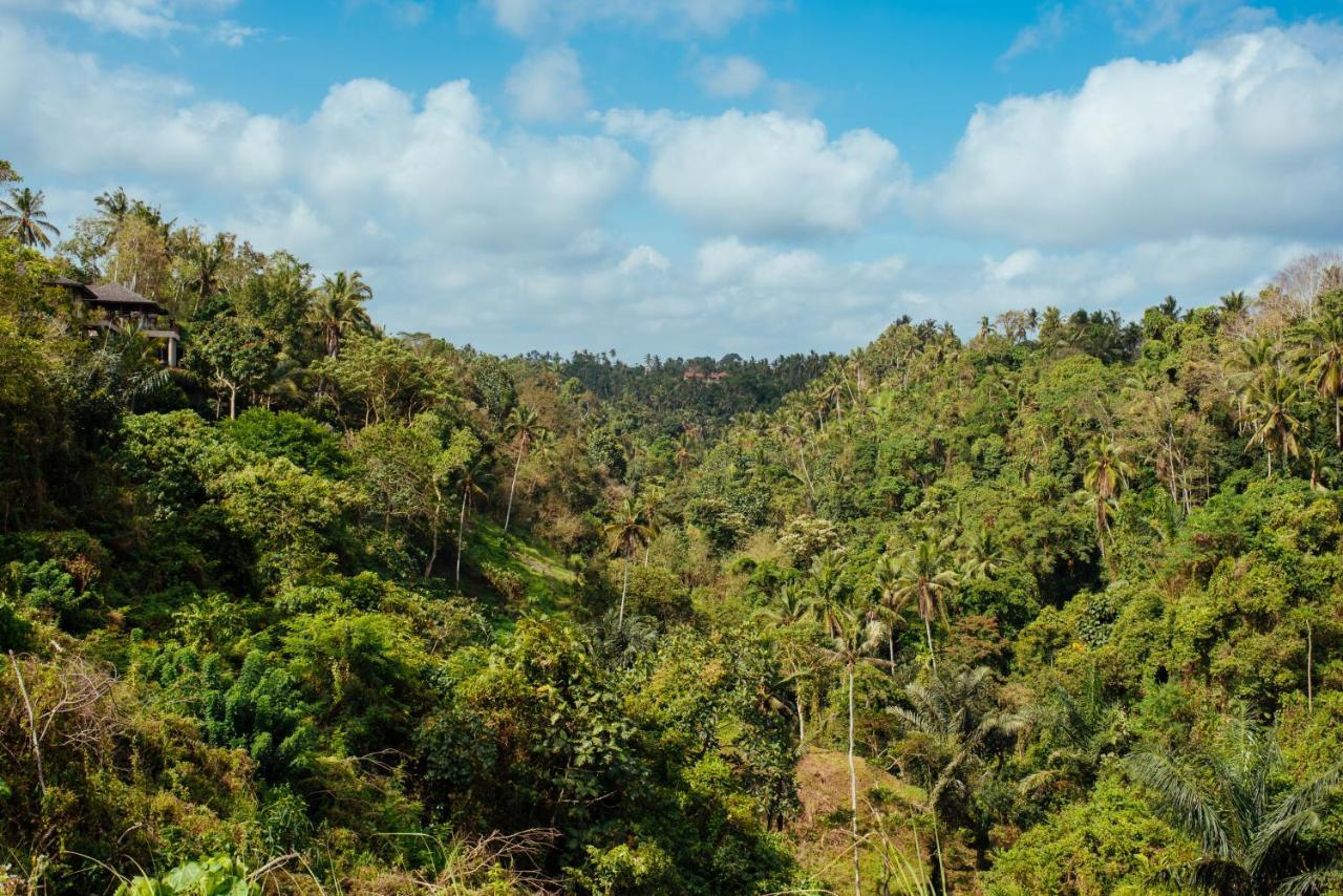 Sunset Hill Bed & Breakfast Ubud  Luaran gambar